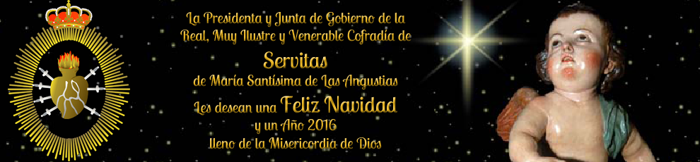 Navidad Servitas 2015